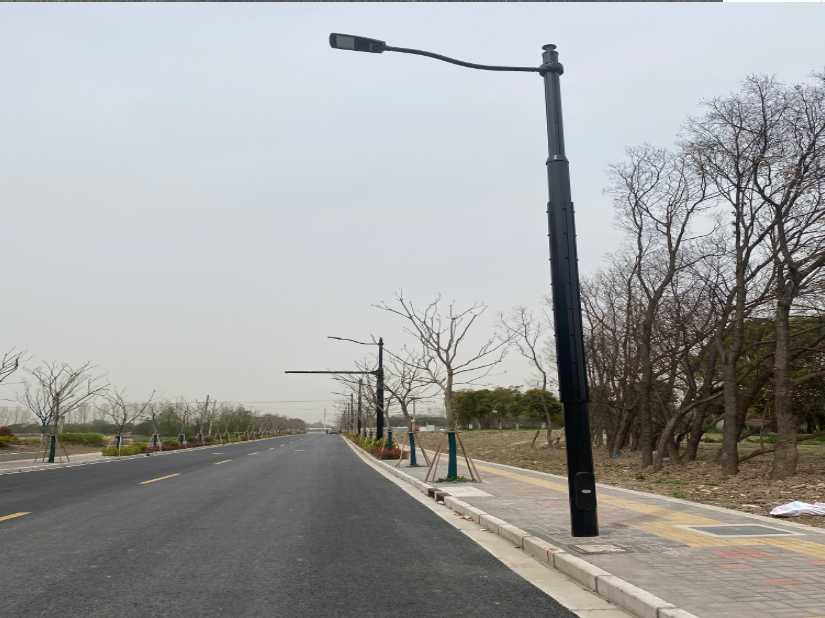 兰陵县上海综合杆 太阳能路灯工程